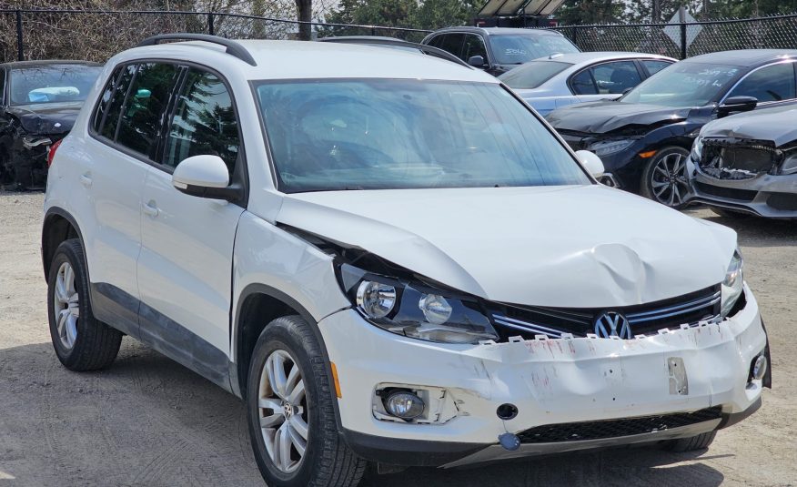2014 Volkswagen Tiguan