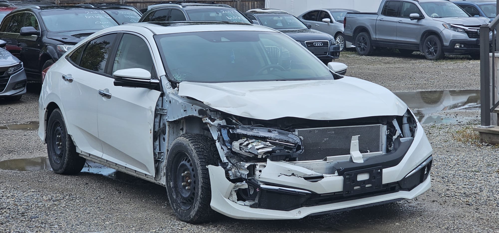 2020 Honda Civic Touring                 $9,800