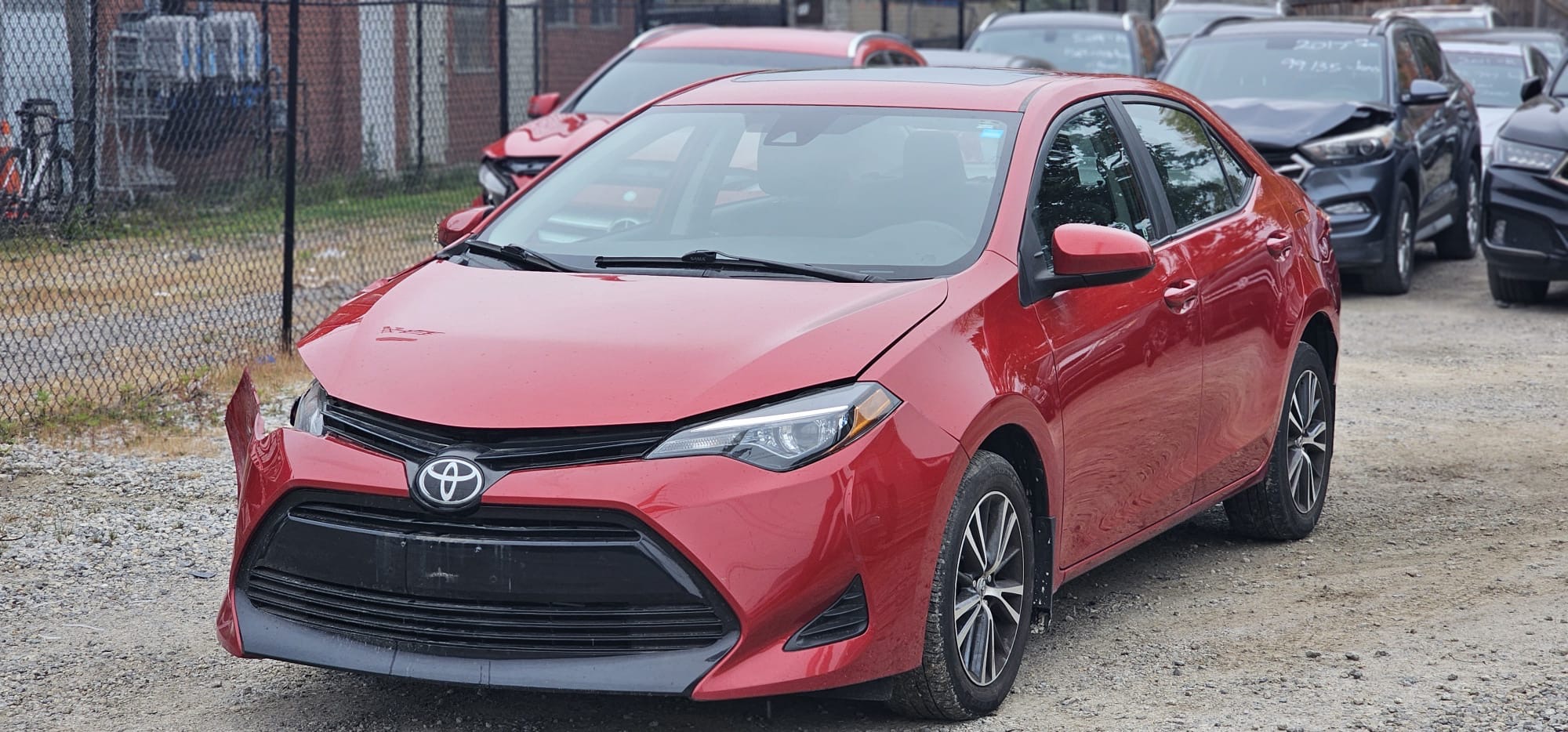 2019 Toyota Corolla LE                                                 $9,800
