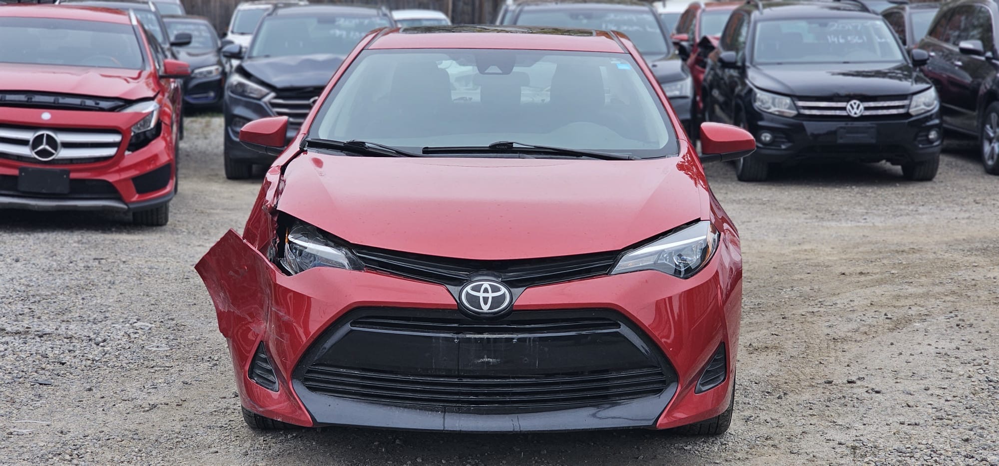 2019 Toyota Corolla LE                                                 $9,800