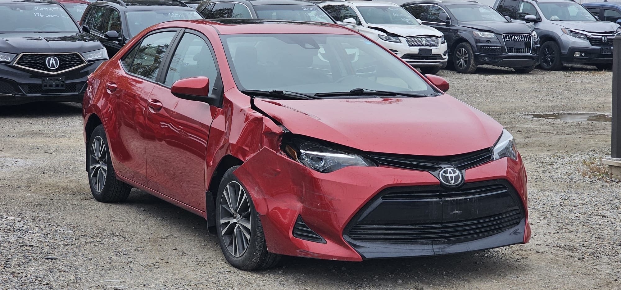 2019 Toyota Corolla LE                                                 $9,800